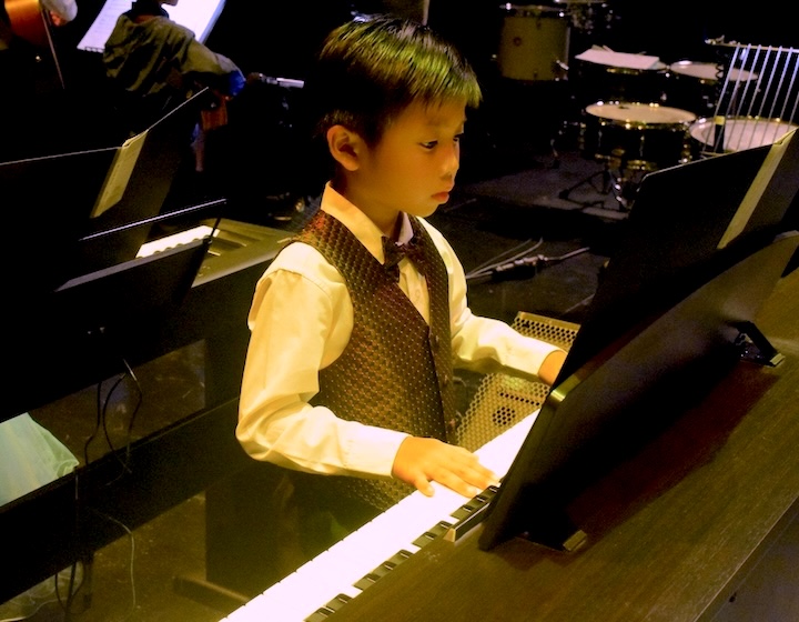 piano lesson singapore - vienna music school