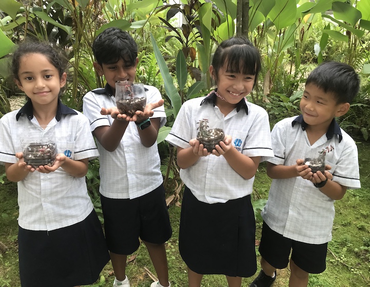 From Scavenger Hunts to Sensory Walks: How & Why OWIS Nanyang Uses Outdoor Learning to Inspire Students