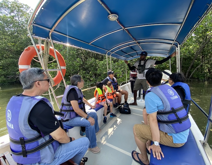 desaru coast guide - things to do in desaru - mangrove tour