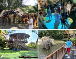 Singapore zoo guide for kids - animal show times, animal feeding times and more