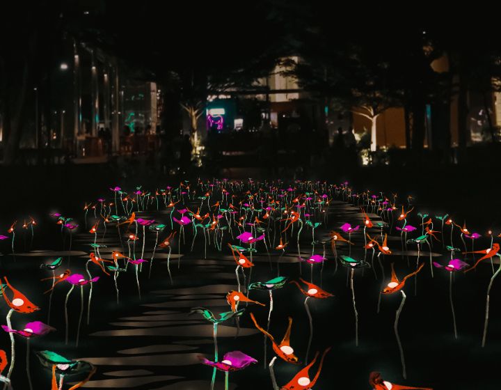 i Light Singapore 2025 - take a walk through the meadow with me