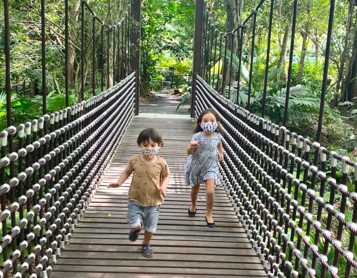 singapore botanic gardens things to do in singapore kids on the bridge