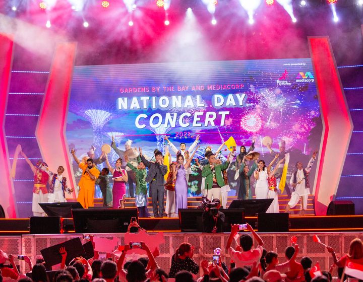 Things to do this weekend with kids - kids events - Mediacorp concert at Gardens by the Bay