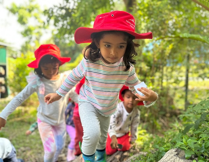 forest school singapore - tanglin trust school