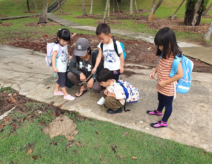 forest school singapore - roots and boots