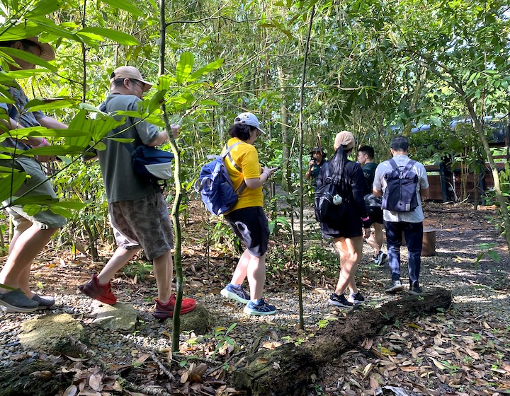 rainforest wild asia - forest trek