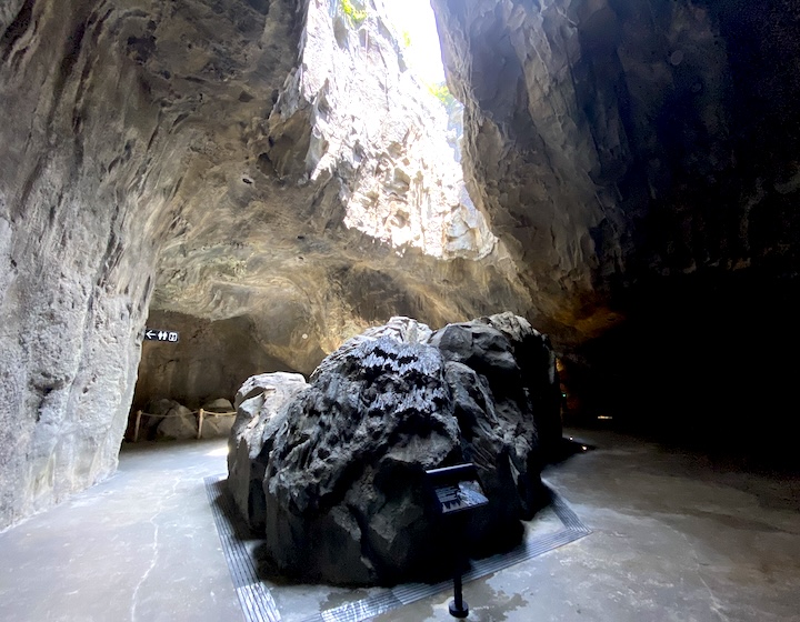 rainforest wild asia - the cavern