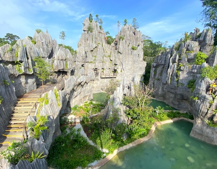 rainforest wild asia singapore - the karsts