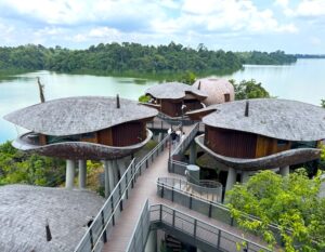 mandai rainforest resort - panoramic view