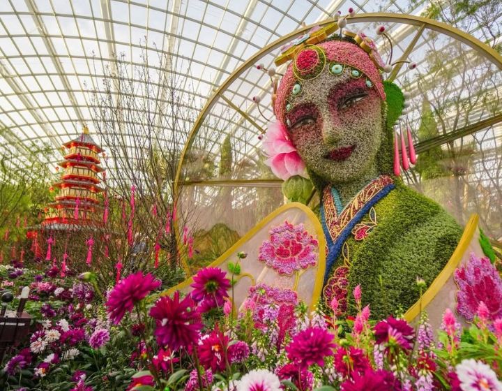 Spring Blossoms - Gardens by the Bay Flower Dome