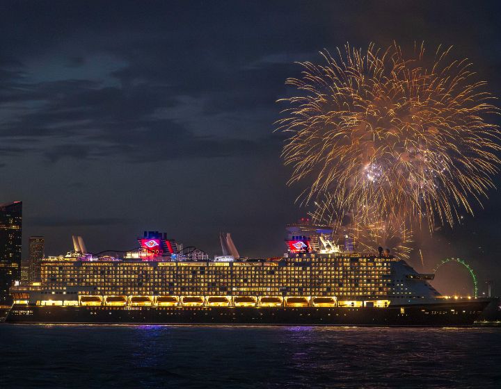 disney adventure cruise singapore - fireworks