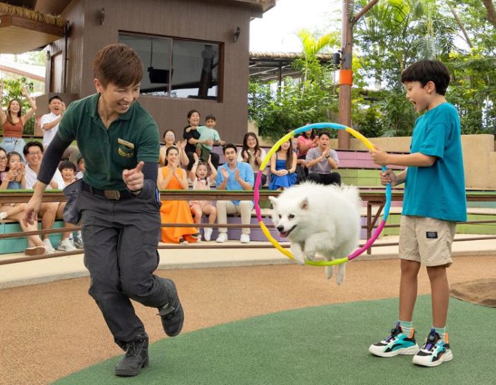 petting zoos in singapore - animal farms singapore - kidzworld singapore zoo