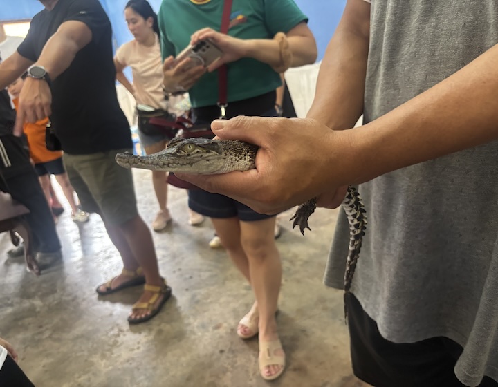 crocodile farm singapore Long Kuan Hung Crocodile Farm