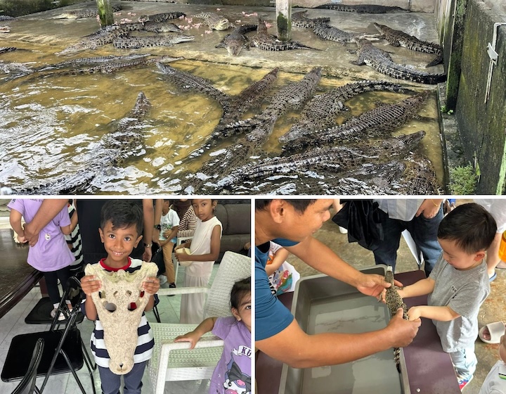 crocodile farm singapore Long Kuan Hung Crocodile Farm