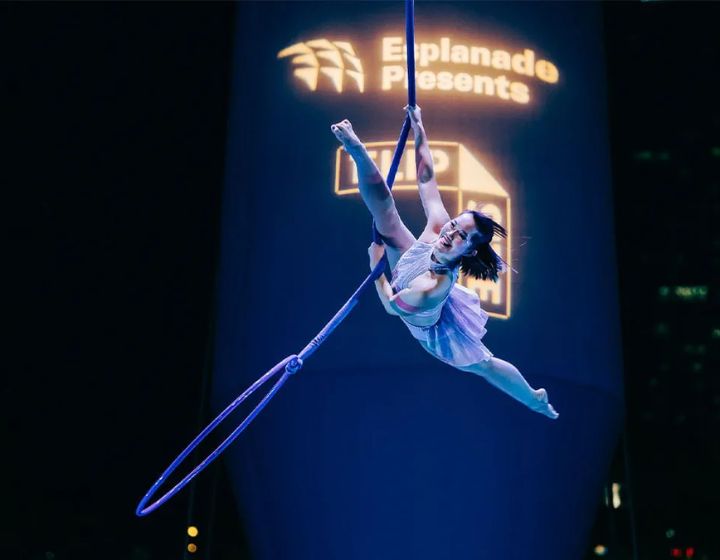 Kids theatre shows in Singapore - puppetry, circus shows, kids shows - Flipside Esplanade