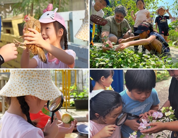 june holiday activities singapore - city sprouts