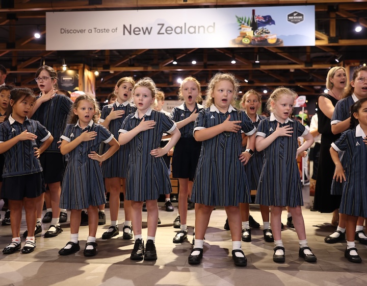 nz trade organisation