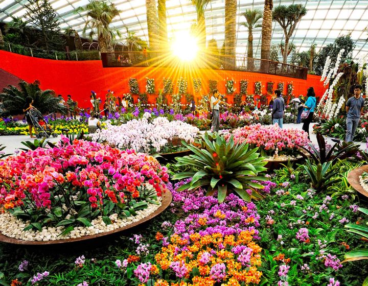 Flower Dome Gardens by the Bay