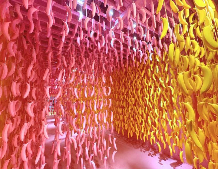 Museum of ice cream review - banana maze