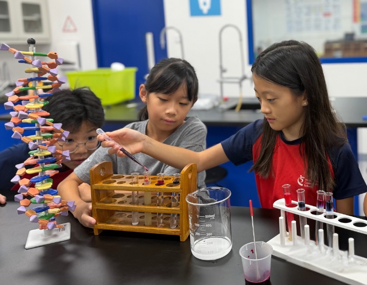 school news singapore - international community school