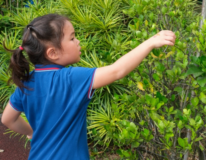 school news singapore - international french school