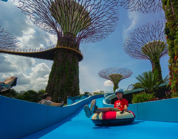 Children's Festival 2025 - Gardens by the Bay - Stitch