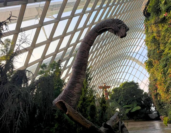 Dinosaur parks in Singapore - dinosaur playgrounds attractions - jurassic world experience cloud forest gardens by the bay