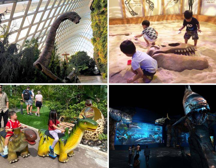 dinosaur parks and dinosaur playgrounds in Singapore - dinosaur attractions
