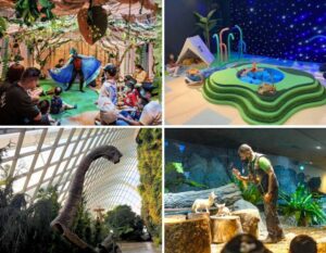June school holiday activities
