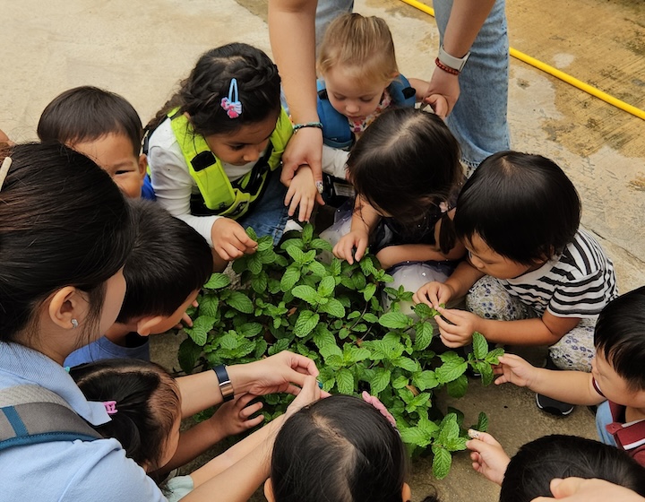 montessori singapore - the little house montessori