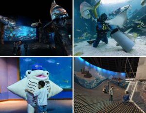 singapore oceanarium guide for kids