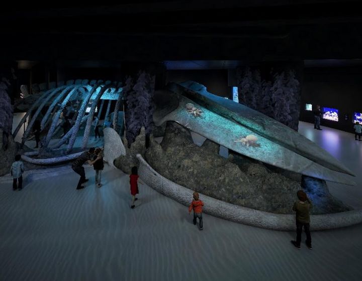 Singapore Oceanarium - former SEA Aquarium - Whale Fall and Sea Mount