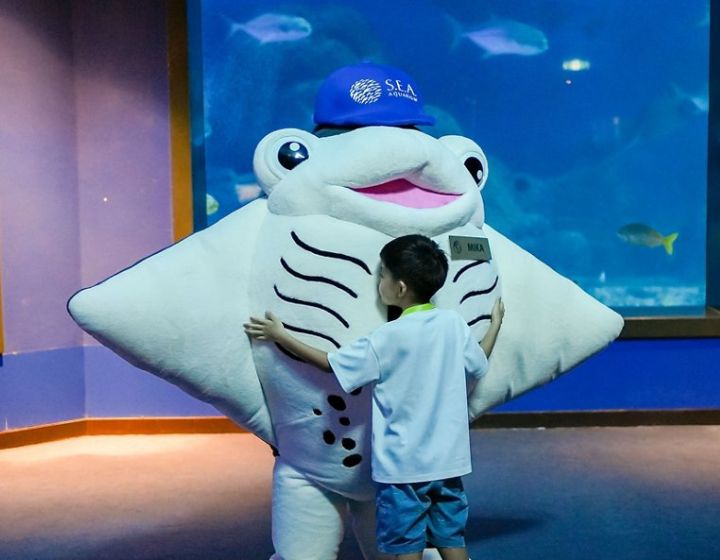 singapore oceanarium manta ray mascot