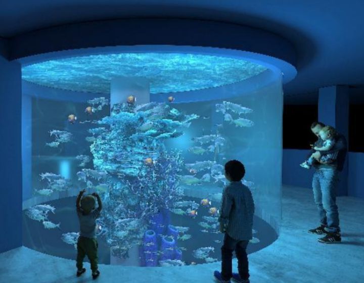 singapore oceanarium - sea aquarium 