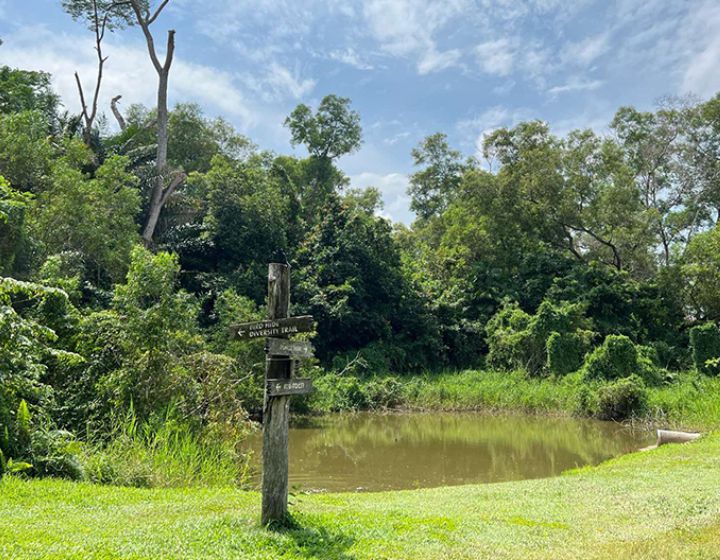 hiking in Singapore - tampines eco green 