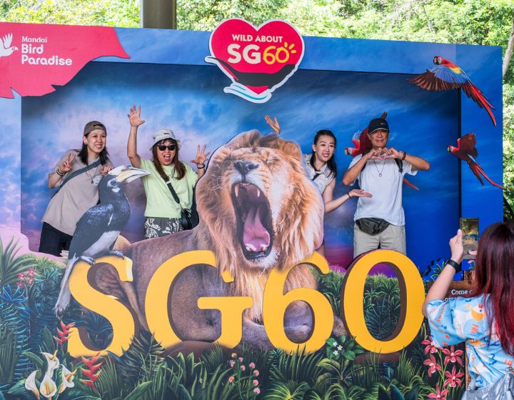 National Day events in Singapore - NDP events - Mandai Wildlife Group SG60
