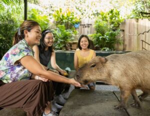 Mandai Wildlife Reserve sg60 deals