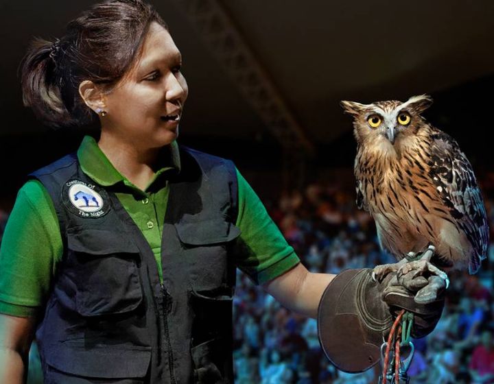 night safari animal show review kids