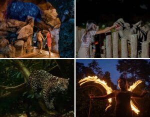 night safari singapore review - night safari guide with kids