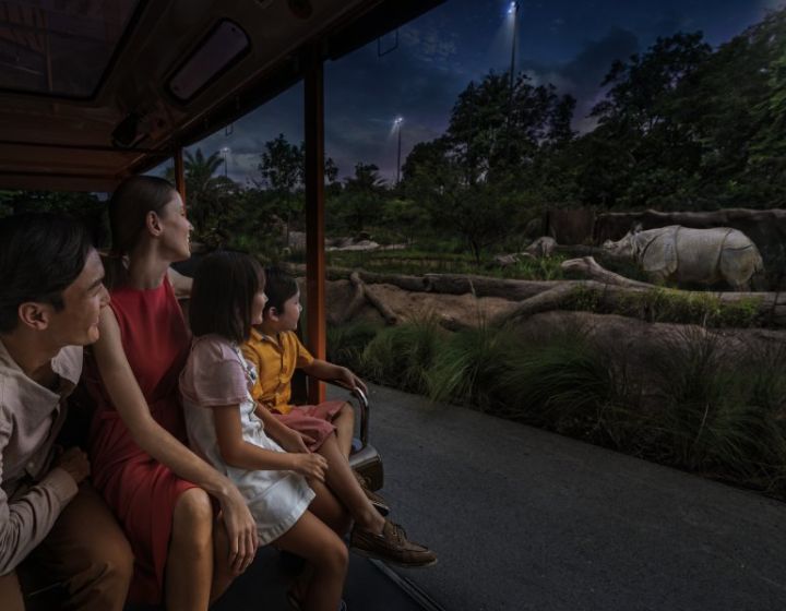 night safari tram adventure - night safari tram timings