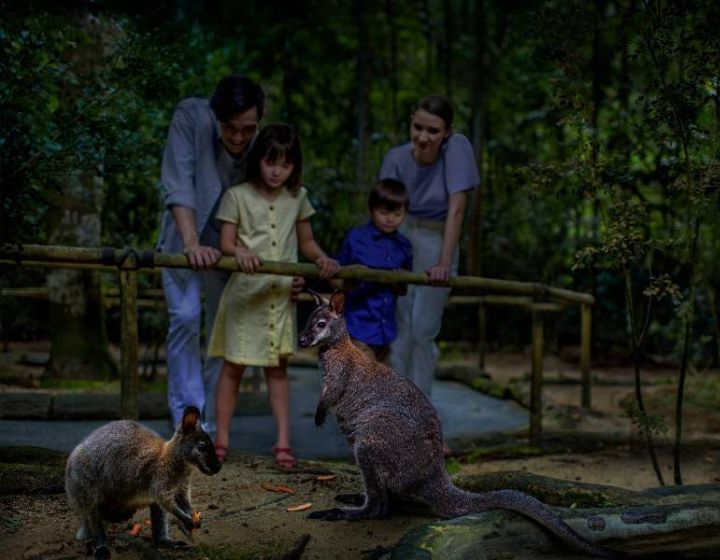 night safari review - walking trails