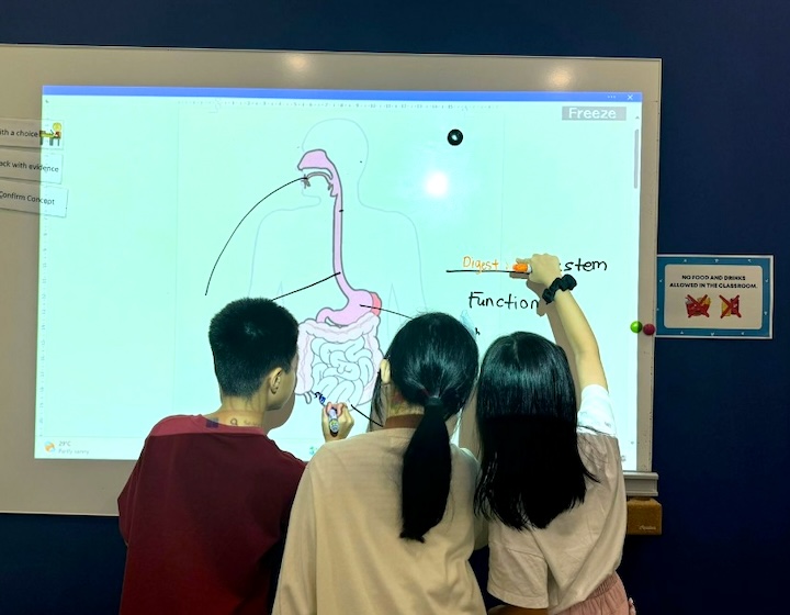 science tuition singapore - bluetree education