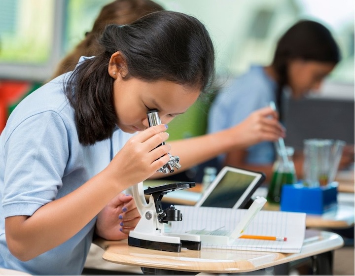 science tuition singapore - the science shifu