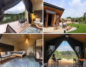colugo camp - mandai wildlife group