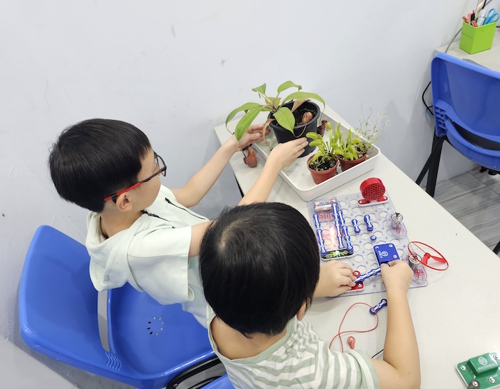 science tuition singapore - mind learning cove