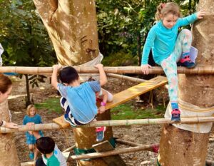 forest school singapore - wildlings