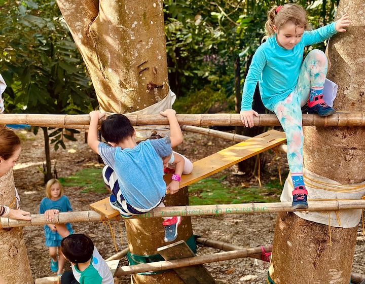 forest school singapore - wildlings