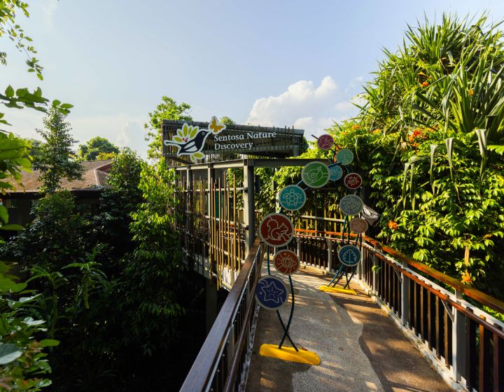 free things to do this weekend in Singapore - sentosa nature discovery