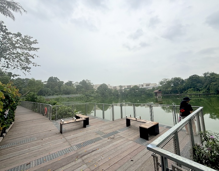 mandai boardwalk – mandai wildlife reserve – mandai boardwalk map – mandai boardwalk photos – mandai boardwalk how to get there – mandai boardwalk reviews – mandai boardwalk parking