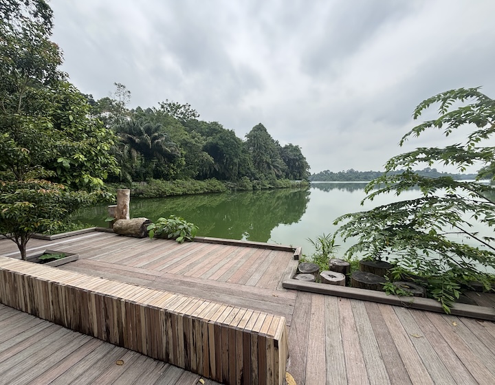 mandai boardwalk – mandai wildlife reserve – mandai boardwalk map – mandai boardwalk photos – mandai boardwalk how to get there – mandai boardwalk reviews – mandai boardwalk parking